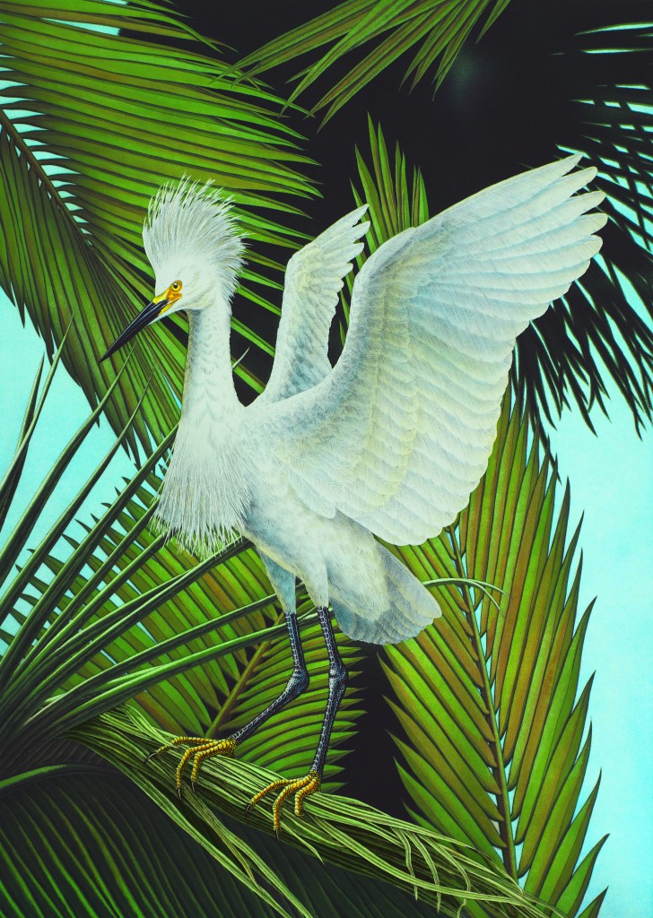 2016 Winter Park Sidewalk Art Festival Poster - Snowy Egret - By John Costin