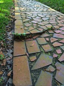 Tree roots have broken and lifted a sidewalk