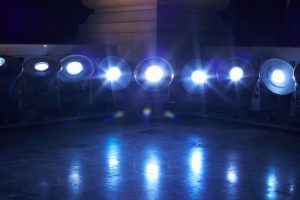 Stagelights - The Park Press